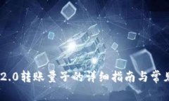 Tokenim 2.0转账量子的详细指南与常见问题解答