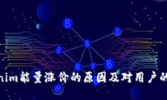 Tokenim能量涨价的原因及对用户的影响
