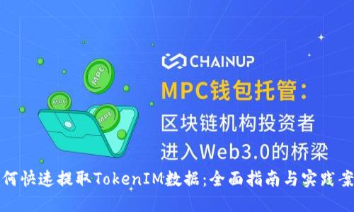 如何快速提取TokenIM数据：全面指南与实践案例
