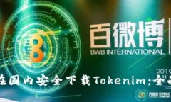 如何在国内安全下载Toke