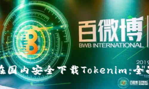 如何在国内安全下载Tokenim：全面指南