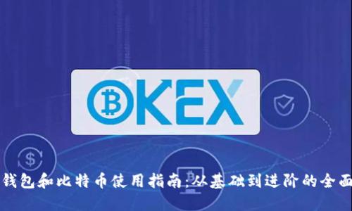 电子钱包和比特币使用指南：从基础到进阶的全面解读