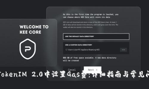 如何在TokenIM 2.0中设置Gas费：详细指南与常见问题解答