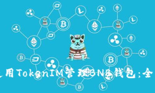 如何使用TokenIM管理BNB钱包：全面指南