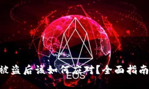 Tokenim币被盗后该如何应对？全面指南与解决方案