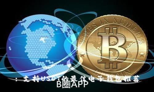 : 支持USDT的最佳电子钱包推荐