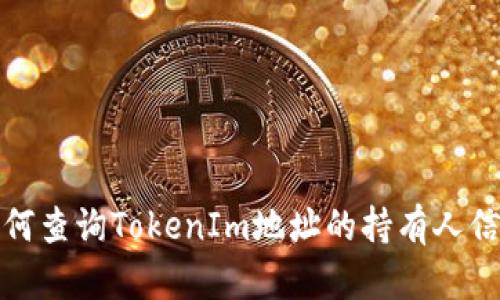 如何查询TokenIm地址的持有人信息