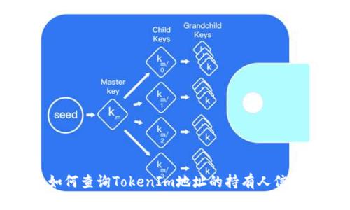 如何查询TokenIm地址的持有人信息