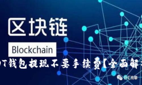 哪个USDT钱包提现不要手续费？全面解析及推荐