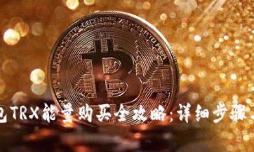 比特派钱包TRX能量购买全攻略：详细步骤与注意事项