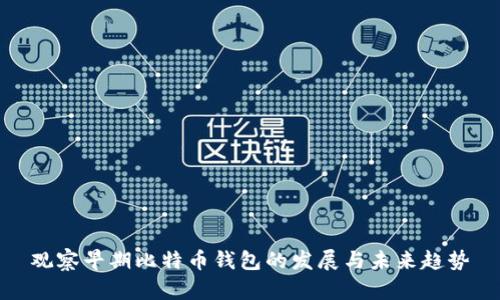 观察早期比特币钱包的发展与未来趋势