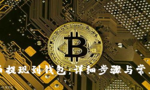 如何将屎币提现到钱包：详细步骤与常见问题解析
