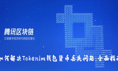 如何解决Tokenim钱包货币丢失问题：全面指南