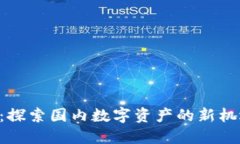  Tokenim：探索国内数字资产