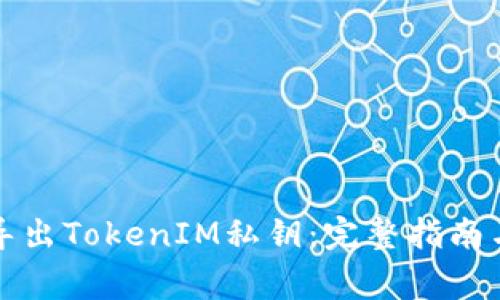 如何安全导出TokenIM私钥：完整指南与注意事项