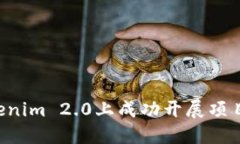如何在Tokenim 2.0上成功开展