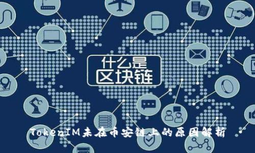 TokenIM未在币安链上的原因解析