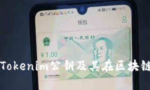 全面解析Tokenim公钥及其在区块链中的应用