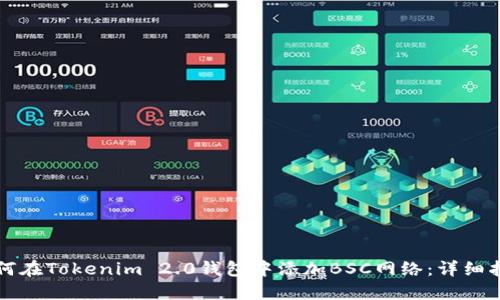 如何在Tokenim 2.0钱包中添加BSC网络：详细指南
