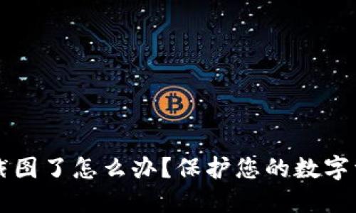 以太坊钱包截图了怎么办？保护您的数字资产安全指南