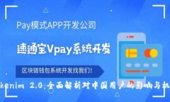 Tokenim 2.0：全面解析对中国