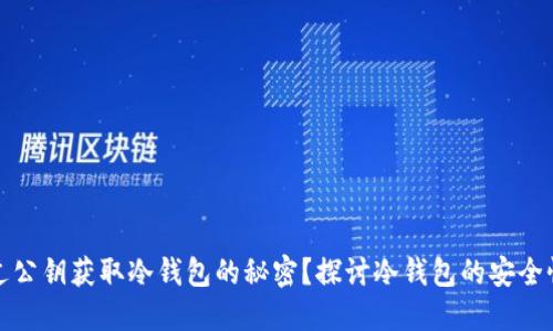如何通过公钥获取冷钱包的秘密？探讨冷钱包的安全性与管理