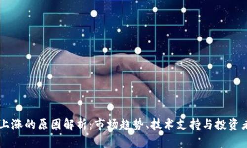 OK币上涨的原因解析：市场趋势、技术支持与投资者情绪