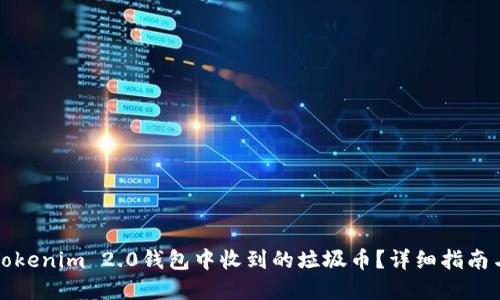 如何处理Tokenim 2.0钱包中收到的垃圾币？详细指南与解决方案