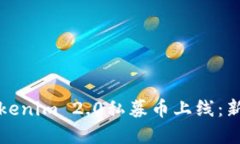 全面解读Tokenim 2.0私募币上