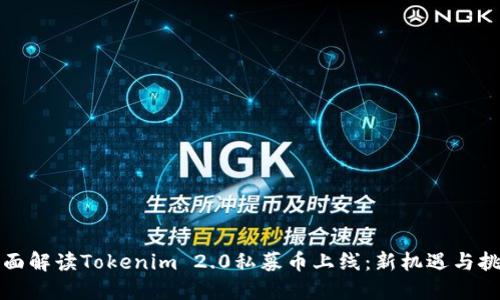 全面解读Tokenim 2.0私募币上线：新机遇与挑战
