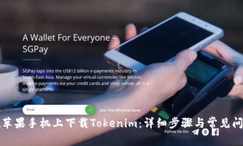 如何在苹果手机上下载Tokenim：详细步骤与常见问题解析