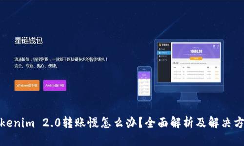 Tokenim 2.0转账慢怎么办？全面解析及解决方案