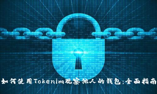 如何使用Tokenim观察他人的钱包：全面指南