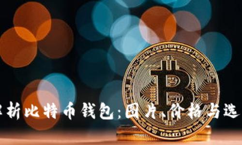 全面解析比特币钱包：图片、价格与选择指南