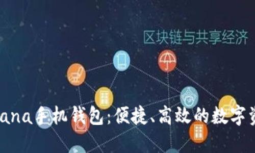 深入探索Solana手机钱包：便捷、高效的数字资产管理工具
