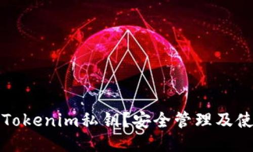 什么是Tokenim私钥？安全管理及使用指南