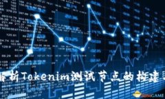 详细解析Tokenim测试节点的
