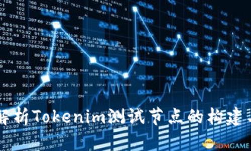 详细解析Tokenim测试节点的构建与应用