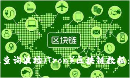 如何有效查询波场（Tron）区块链数据：全面指南