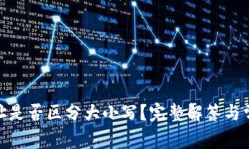 TokenIM地址是否区分大小写？完整解答与常见问题解析