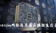 深入分析Tokenim网络及其在