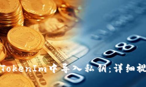 如何在TokenIm中导入私钥：详细视频教程