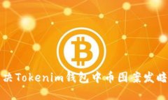 如何解决Tokenim钱包中币图