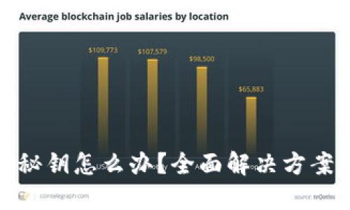 忘记冷钱包秘钥怎么办？全面解决方案与预防措施
