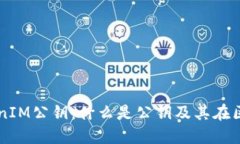 深入了解TokenIM公钥：什么