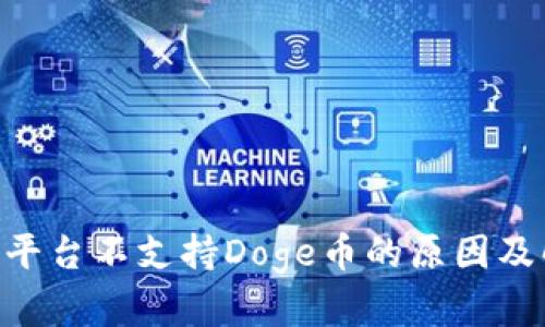Tokenim平台不支持Doge币的原因及解决方案