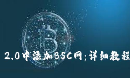 如何在Tokenim 2.0中添加BSC网：详细教程与常见问题解答