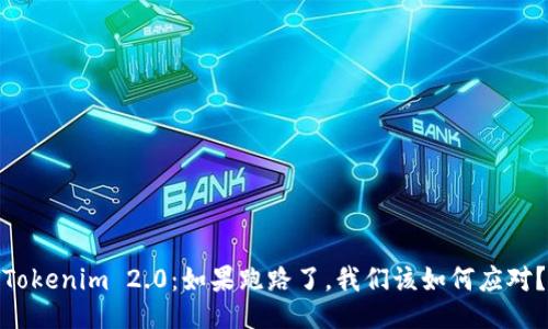 Tokenim 2.0：如果跑路了，我们该如何应对？