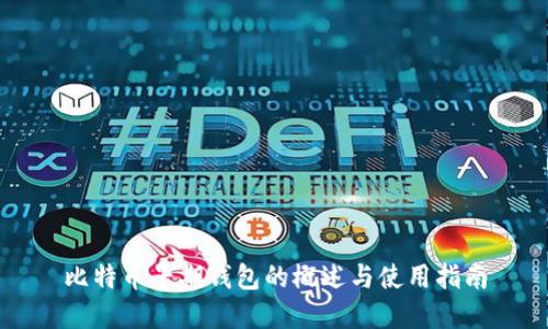 比特币早期钱包的概述与使用指南