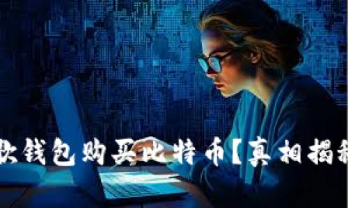 如何通过谷歌钱包购买比特币？真相揭秘与实用指南